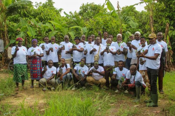 Agroforêt classée de Monogaga / Mainland Group et Roots Wild Foundation s’unissent pour une opération de reboisement
