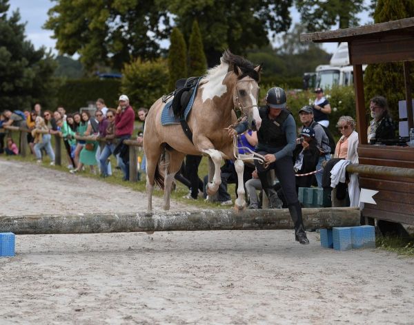 Que faire ce week-end du 4 au 6 juillet à Pau et en Béarn ? Découvrez notre Top 10 des sorties