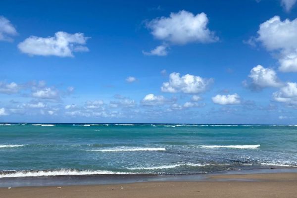 Météo : un jeudi au soleil mais venteux à Mayotte, des rafales jusqu'à 60km/h prévues