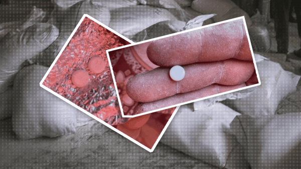 Guerre dans la bande de Gaza : ce que l'on sait des accusations de mélange d'opioïde à de la farine distribuée aux Palestiniens