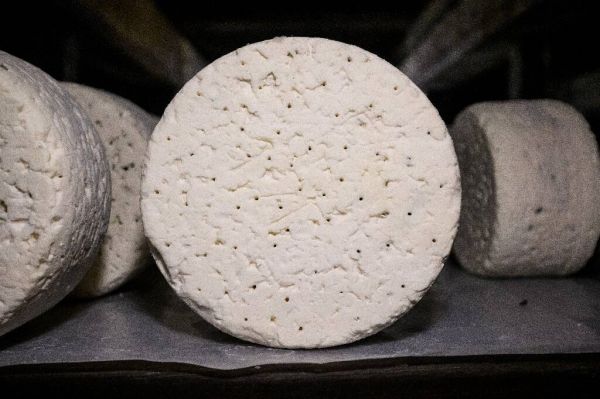 Emmanuel Macron attendu à Roquefort sur fond de guerre commerciale avec Donald Trump