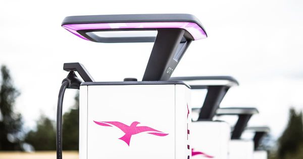 Flottes professionnelles : «Les entreprises doivent prendre le temps de la transition pour en tirer les bénéfices»