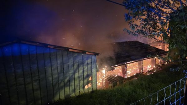 Rousset: 200 bêtes meurent dans l'incendie d'un bâtiment agricole