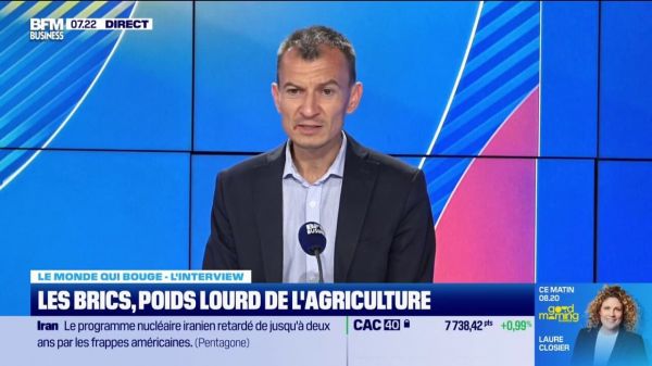 BRICS: "Ce sont des pays qui se font les chantres du libéralisme économique", déclare Sébastien Abis (chercheur associé à l'Iris)