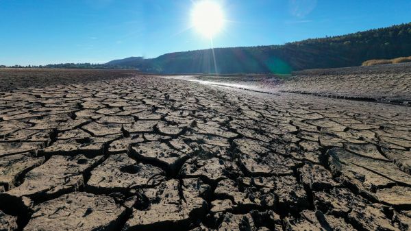 "Recul" de mesures écologiques, appel à un "sursaut"... Le Haut Conseil pour le climat alerte le gouvernement