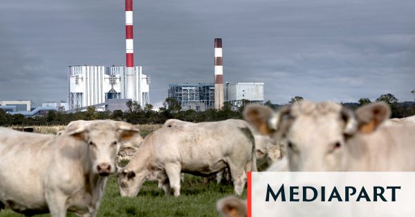 Le Haut Conseil pour le climat alerte sur le décrochage du rythme de décarbonation de la France