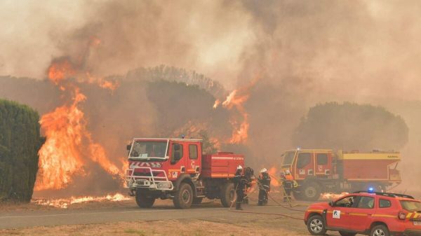 « S'il y a avait eu un vent fort, notre région aurait été rayée de la carte » : après le premier grand feu de l'été dans l'Aude, l'inquiétude est forte en Occitanie