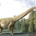 Des surprises découvertes dans le ventre d'un dinosaure géant