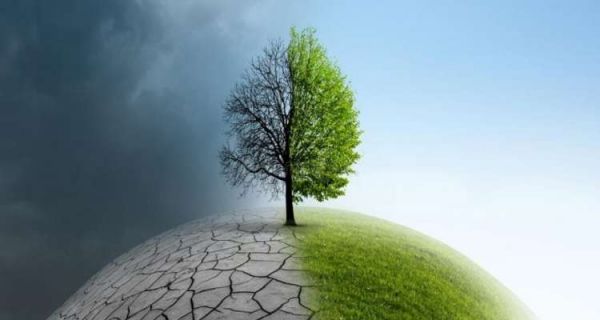 Dette contre climat : Une solution gagnante pour les finances tunisiennes ?