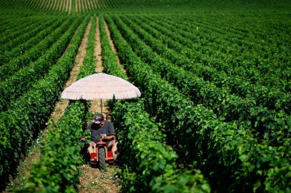 Le Haut Conseil pour le climat déplore de nombreux « reculs » sur la décarbonation en France