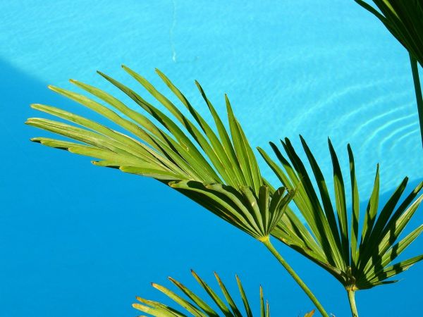 La Réunion intègre le réseau national France Tourisme Lab : une première pour l'Outre-mer