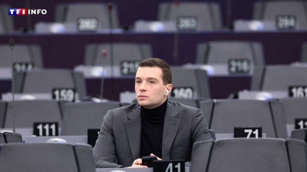 Le RN de nouveau mis en cause dans une affaire de détournements financiers au Parlement européen | TF1 INFO