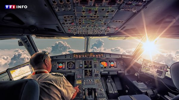 "Les hommes ont tous des limites" : et vous, pensez-vous pouvoir faire atterrir un avion ? | TF1 INFO