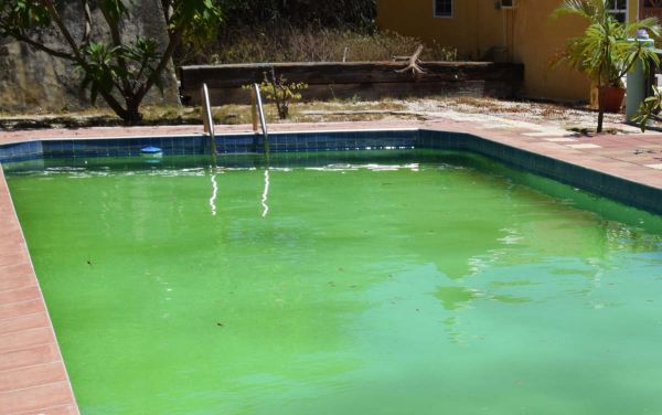 Piscine, spa : ne vous baignez surtout pas dans une eau verte – dangers et solutions