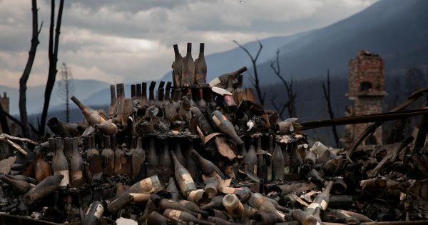 Un an après les feux de forêt, la ville canadienne de Jasper "ressemble au Mordor”
