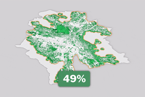 Outil interactif: Qui sont les champions et les cancres des espaces verts urbains en Suisse?