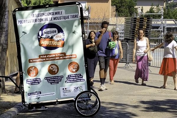 Chikungunya en Provence : l’ARS présente les bons gestes face au moustique tigre