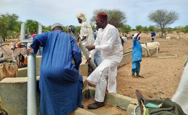 Tchad : le ministre de l'Elevage fait l'état des lieux des infrastructures financés par la Banque mondiale