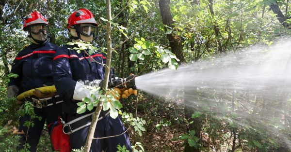 Environnement . Risques de feux de forêt : quels réflexes devez-vous adopter ?