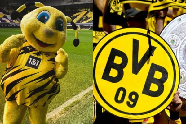 Borussia Dortmund. Le salaire riquiqui de la mascotte du BVB