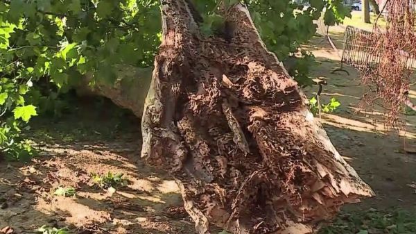 Orages de grêle : des dégâts dans le Var