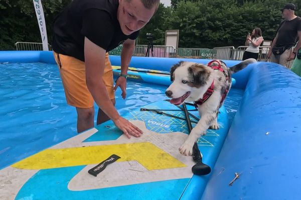 "Au moins on ne les laisse pas seuls à la maison" : un parc d'attractions ouvre ses portes aux chiens pendant 4 jours
