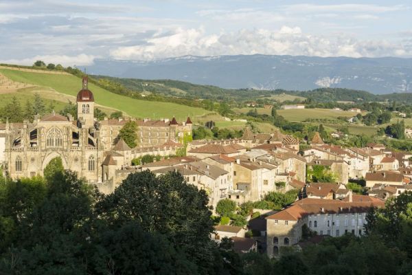 "Une fierté pour notre commune rurale" : Saint-Antoine-l'Abbaye, en Isère, élu "Village préféré des Français 2025"
