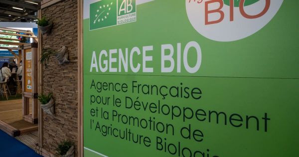 Economies sur les agences de l'Etat : le Sénat ne trouve pas de mine d'or...