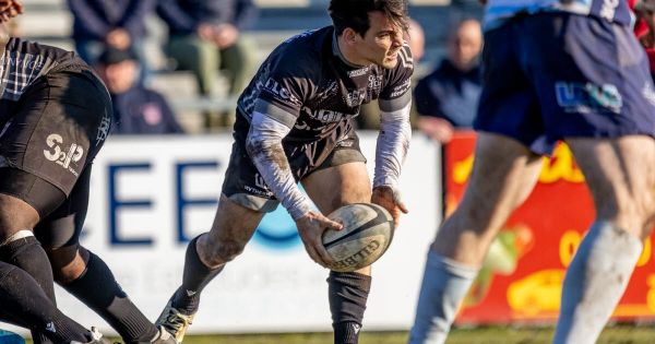 Rugby. Fédéraux : les poules dévoilées pour la saison 2025-2026