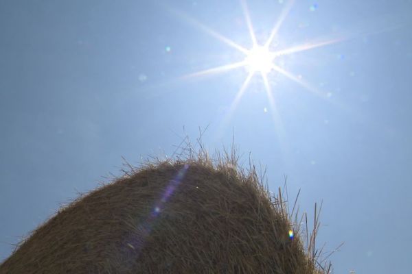 Canicule : "ce qui était exceptionnel devient habituel", en Bretagne aussi les vagues de chaleur se multiplient