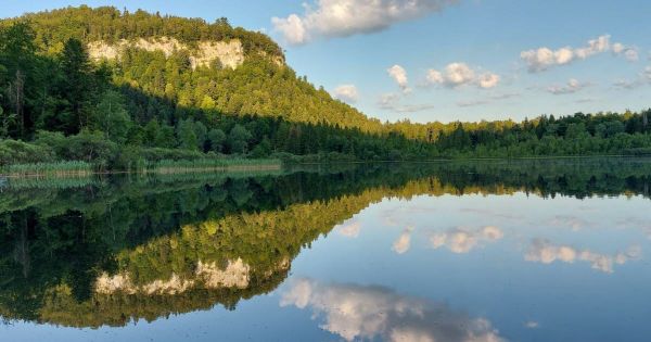 En images. En juillet, vos plus belles photos du jour