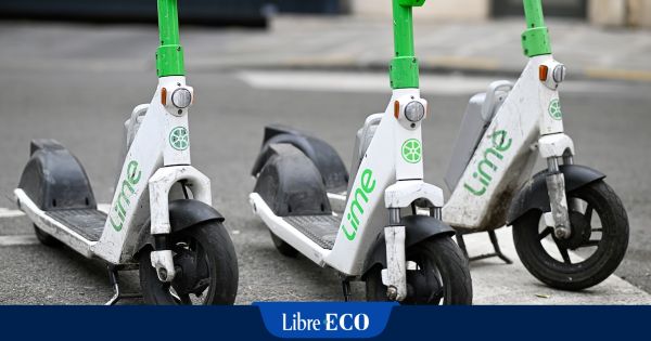 Malgré son éviction, Lime s'accroche à Bruxelles : "Un mauvais perdant”, selon Van den Brandt