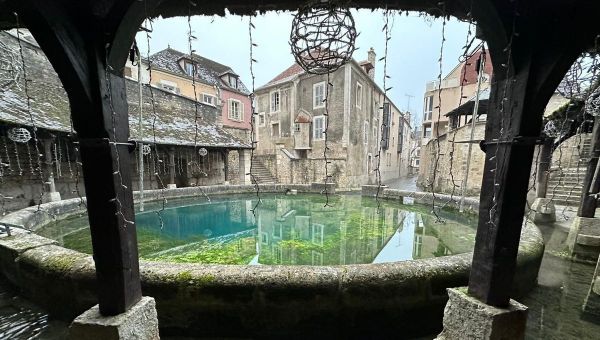 "Une grande satisfaction" : la Fosse Dionne de Tonnerre gagne 40 000 euros pour sa restauration