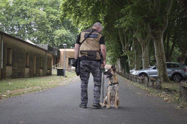 Pau : l'hôpital psychiatrique met à disposition son site pour l'entraînement du chien anti-stups de la police