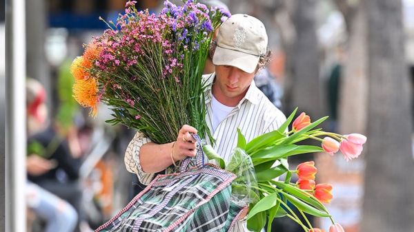 On sait (enfin) pourquoi Jeremy Allen White achète autant de fleurs