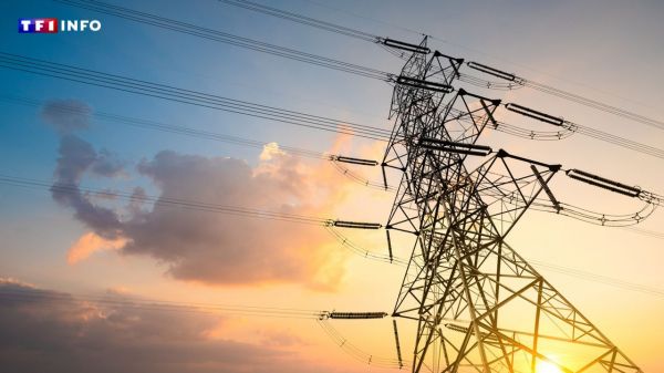 Le réseau électrique français est-il de plus en plus vulnérable face aux aléas climatiques ? | TF1 INFO