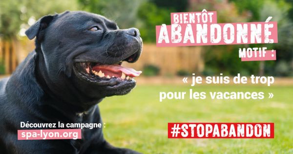 Animaux. La SPA de Lyon lance une campagne contre les abandons