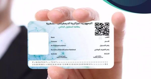 Commerce du « cabas » : l'ANAE ouvre les inscriptions à la carte officielle d'auto-importateur