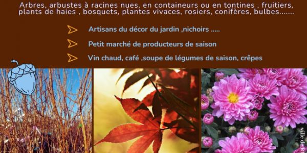 Fête de l'arbre et de l'automne à Rives-en-Seine (76)
