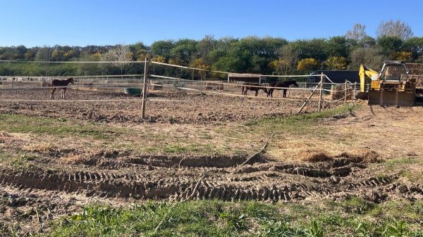 Maltraitance animale : prison avec sursis et grosse amende pour un propriétaire de chevaux du Coudray-Montceaux