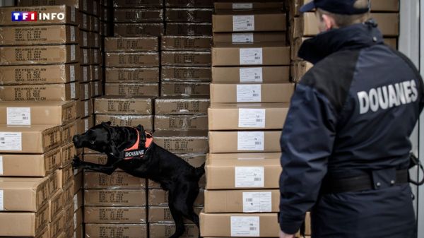 Var : il avait caché de la cocaïne dans des croquettes pour chien, un chauffeur-routier condamné | TF1 INFO