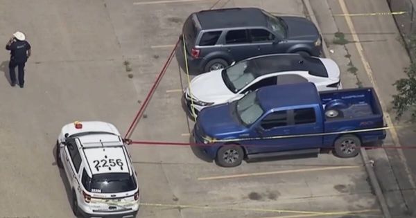États-Unis. Une fillette de 9 ans meurt de chaud dans une voiture, sa mère l'avait laissée pour aller au travail