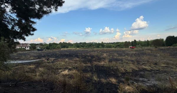 Grand Nancy. Incendie sur d'anciennes friches entre Jarville et Heillecourt : un enfant sur les voies provoque une réaction en chaîne