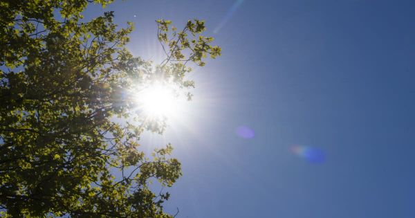 Météo. Jusqu'à 31 °C attendus en Saône-et-Loire, ce vendredi