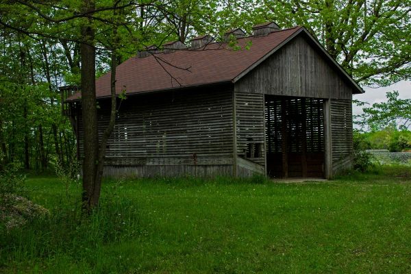 « Ils portent des couches et ne savent pas lire » : deux enfants cachés dans la forêt par leur père, obsédé du Covid