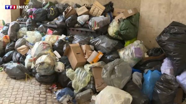 "Ça va nous amener des rats" : ses éboueurs en grève depuis 5 jours, Tarascon croule sous les ordures | TF1 INFO