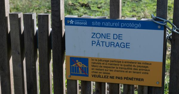 Le Sénat propose une cure d'amaigrissement pour les opérateurs de la transition écologique