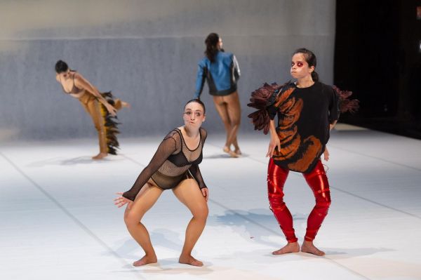 Festival Montpellier Danse : le voyage de Lenio Kaklea parmi « Les Oiseaux »