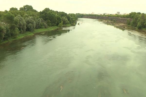 "C'est assez inquiétant de voir la vitesse à laquelle le niveau de la Garonne baisse", des restrictions d'eau imposées