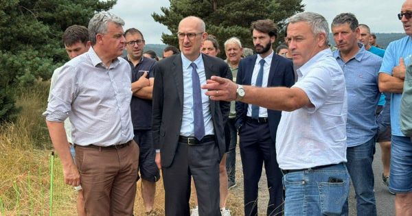 Haute-Loire. Après les attaques de loups : « Nous avons déclenché les mesures qui s'imposaient »